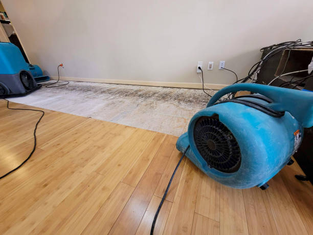 Professional Emergency Water Damage technician working in Monticello, MS